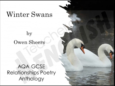 Winter Swans Teaching Resources